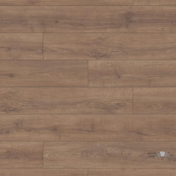 Clay Sola Oak