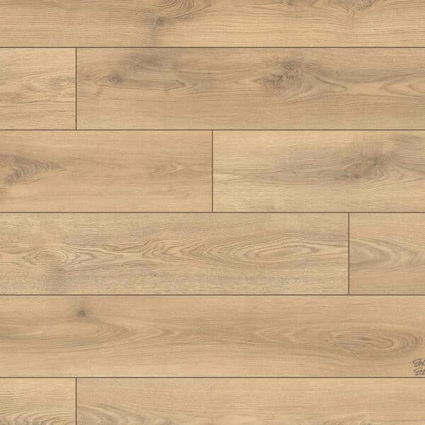 Yosemite Oak